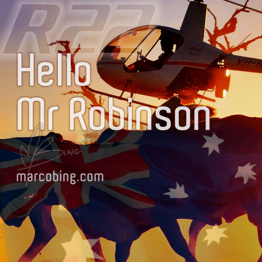 'Hello Mr Robinson'