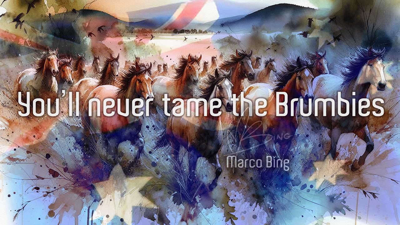Load video: Lest We Forget - Marco Bing